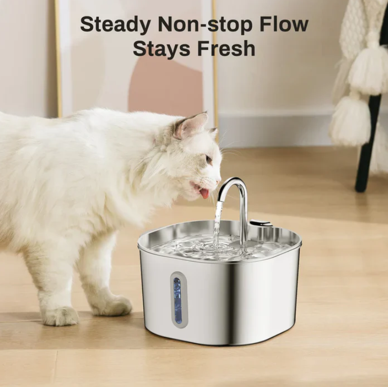 Drinking Fountain